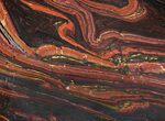 Polished Tiger Iron Stromatolite - ( Billion Years) #64001-1